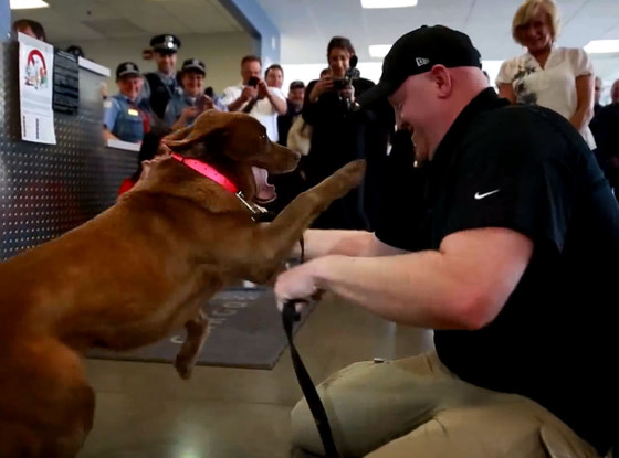 Sgt. Jason Bos, Military Dog Sgt. Jason Bos, Military Dog